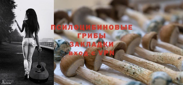 каннабис Новодвинск