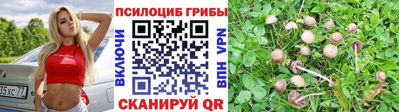 Псилоцибиновые грибы мицелий МЕГА зеркало Минусинск