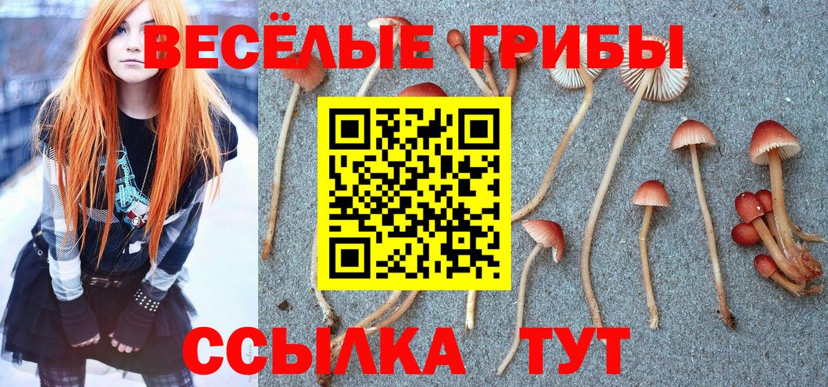 Псилоцибиновые грибы Cubensis  Вход с VPN  Минусинск  Псилоцибиновые грибы Magic Shrooms 