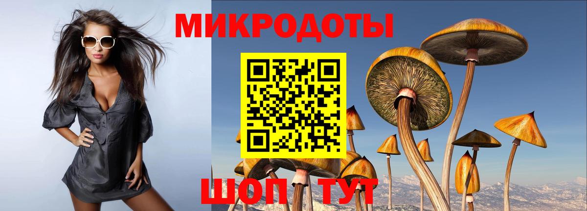 Галлюциногенные грибы Psilocybine cubensis  Минусинск 